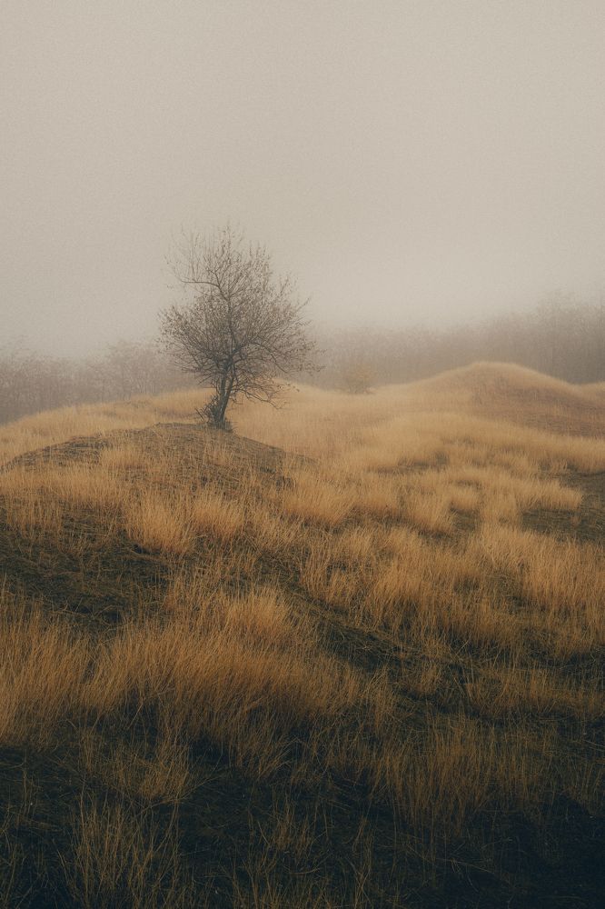 Фотография автора Oleg Suhenko