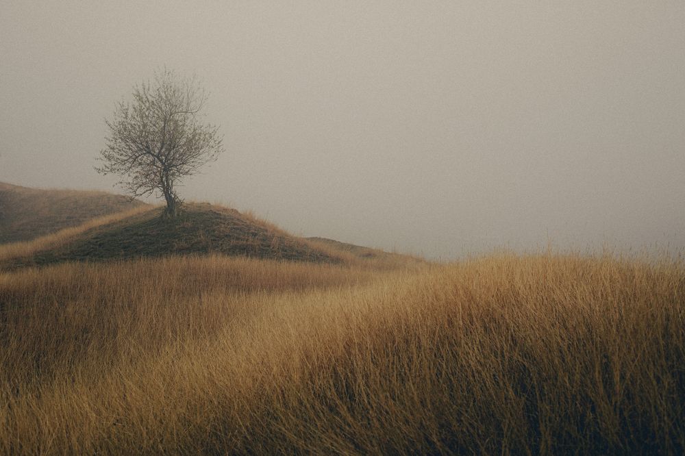 Photograph by Oleg Suhenko