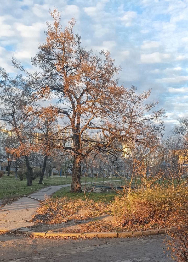 Фотография автора Сергей Денисенко