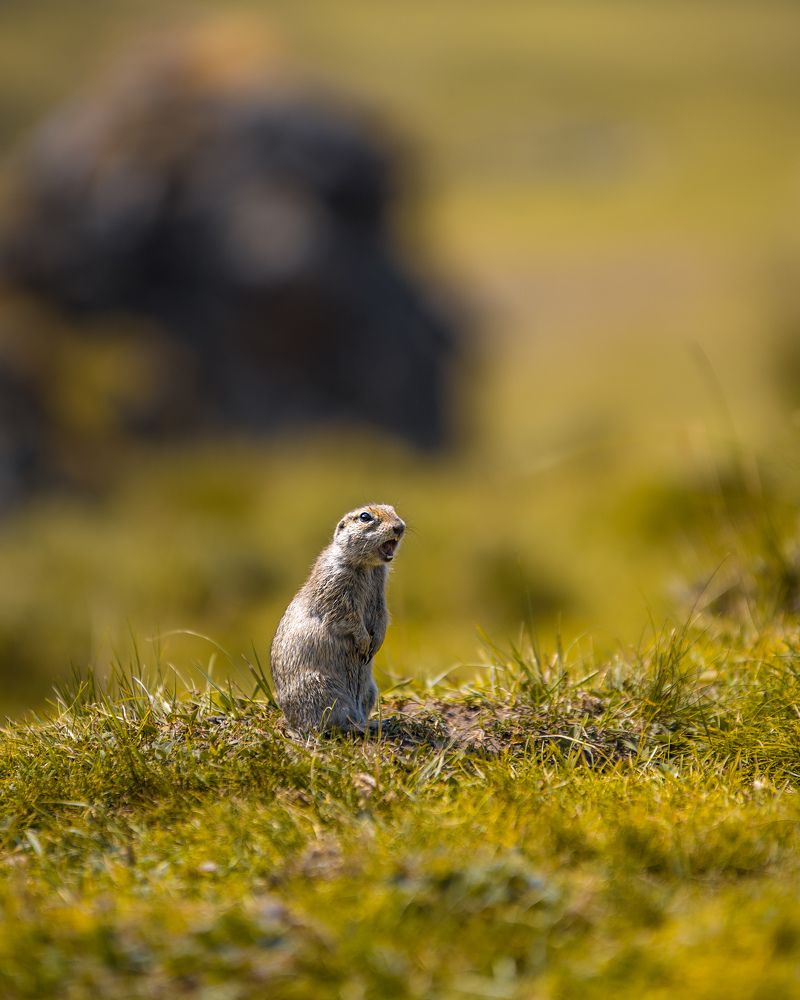 Photograph by Sergey Lexin