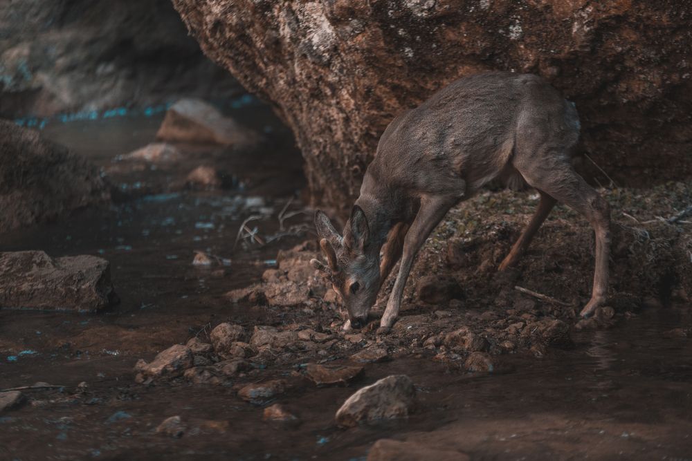 Photograph by Sergey Lexin