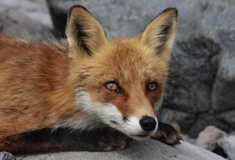 Photograph by Лада Денисова