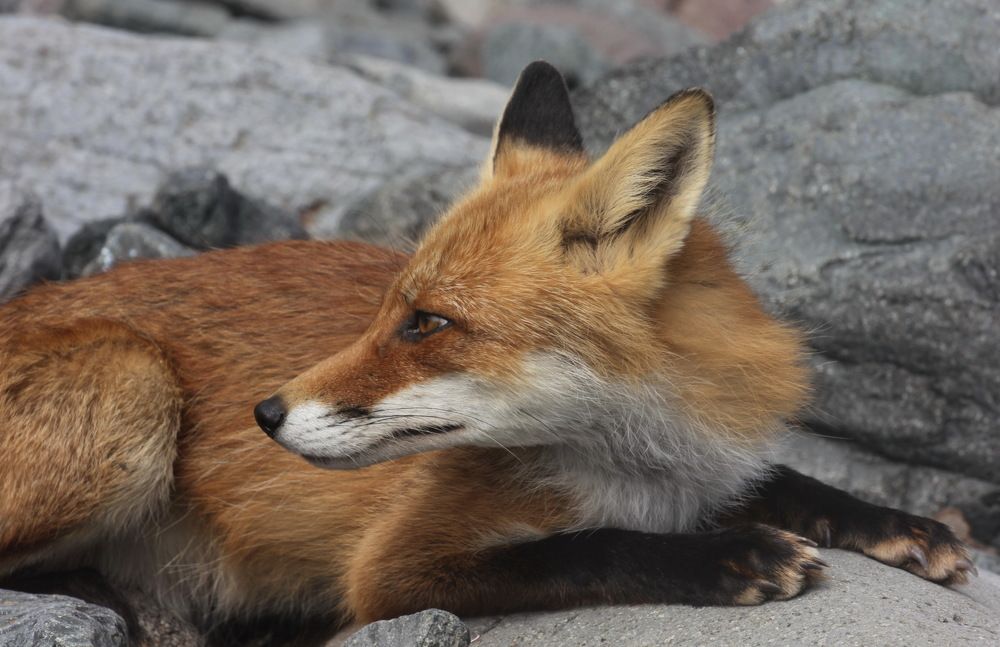 Photograph by Лада Денисова