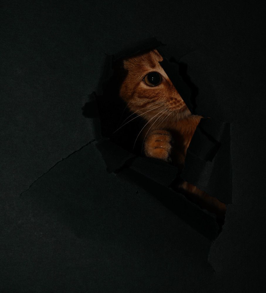 Photograph by Марьям Цимбельман