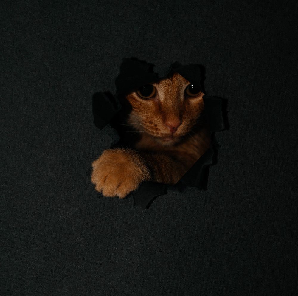 Photograph by Марьям Цимбельман