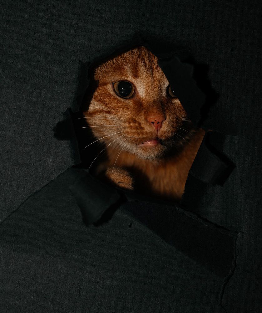 Photograph by Марьям Цимбельман