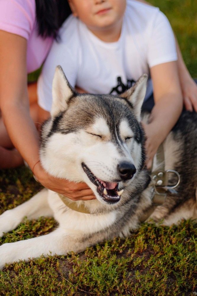 Photograph by Ксения Чикина