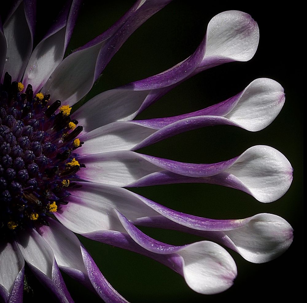 Photograph by Marina Krivitskaya