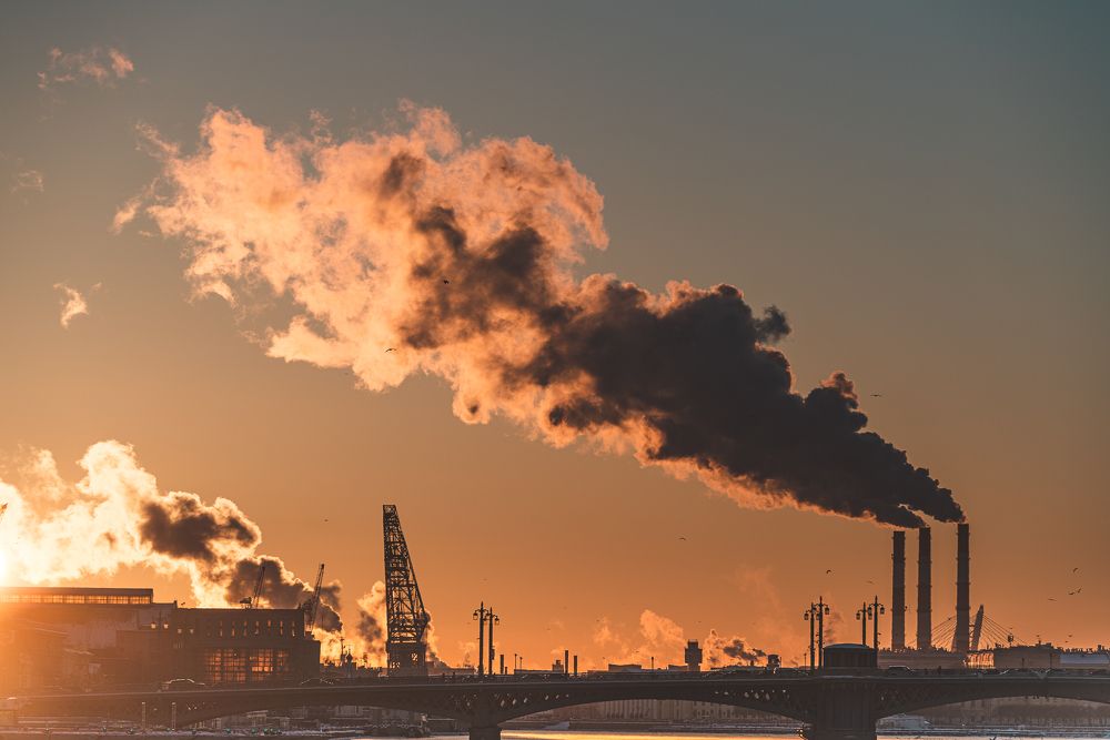 Photograph by Roman Vislobokov