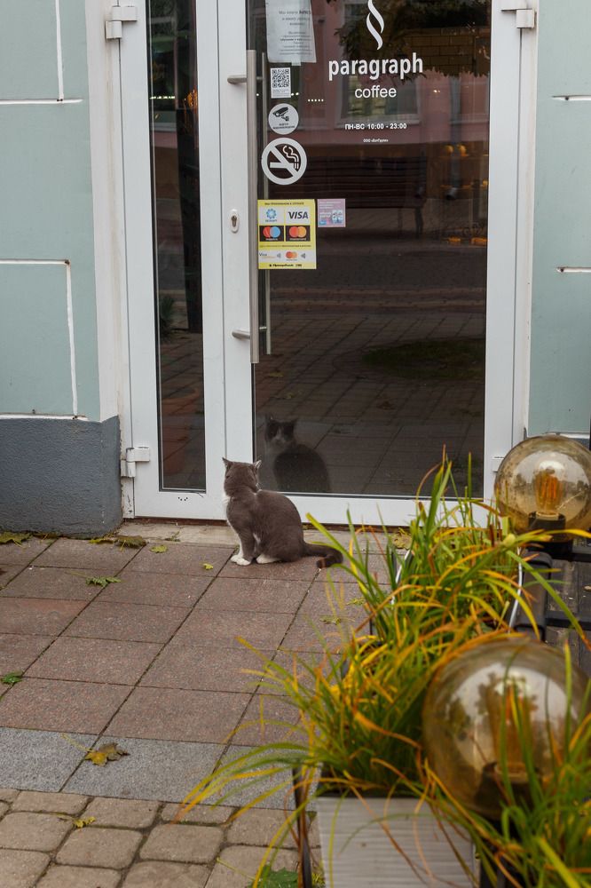 Photograph by Юлия Губаренко