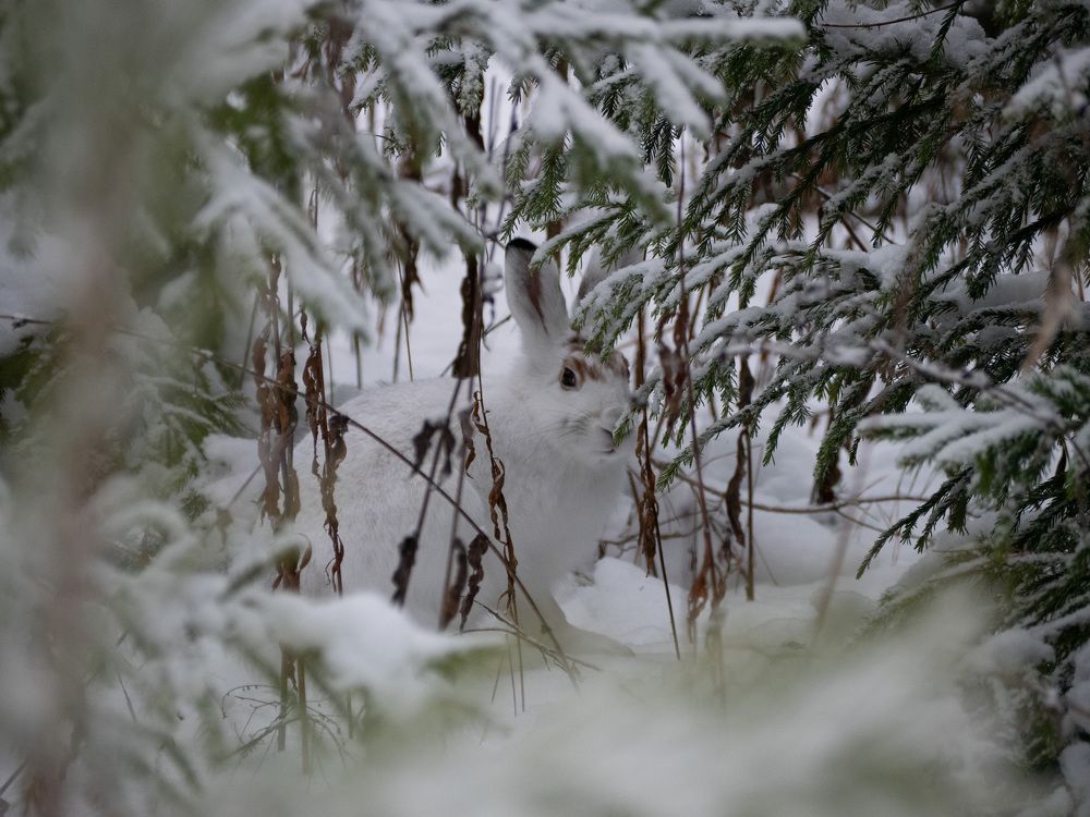 Photograph by Сергей Забиякин