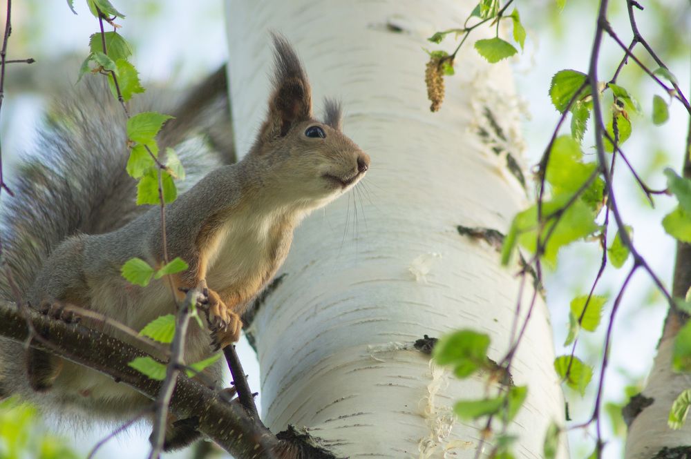 Photograph by Сергей Забиякин