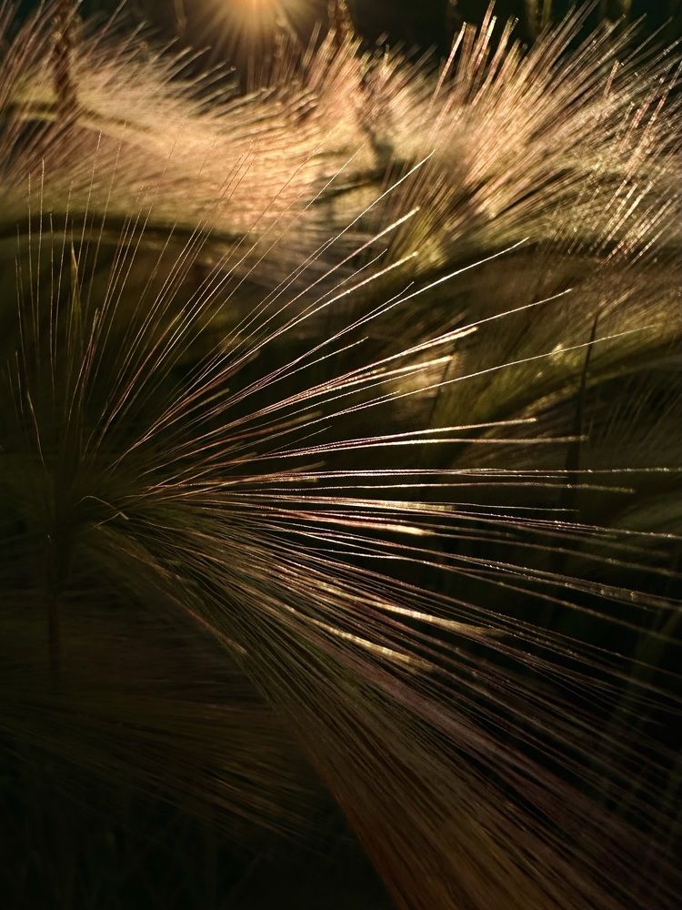 Photograph by Полина Самойлова