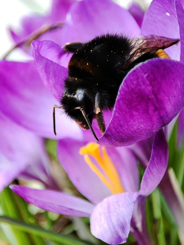 Photograph by Вероника Янина