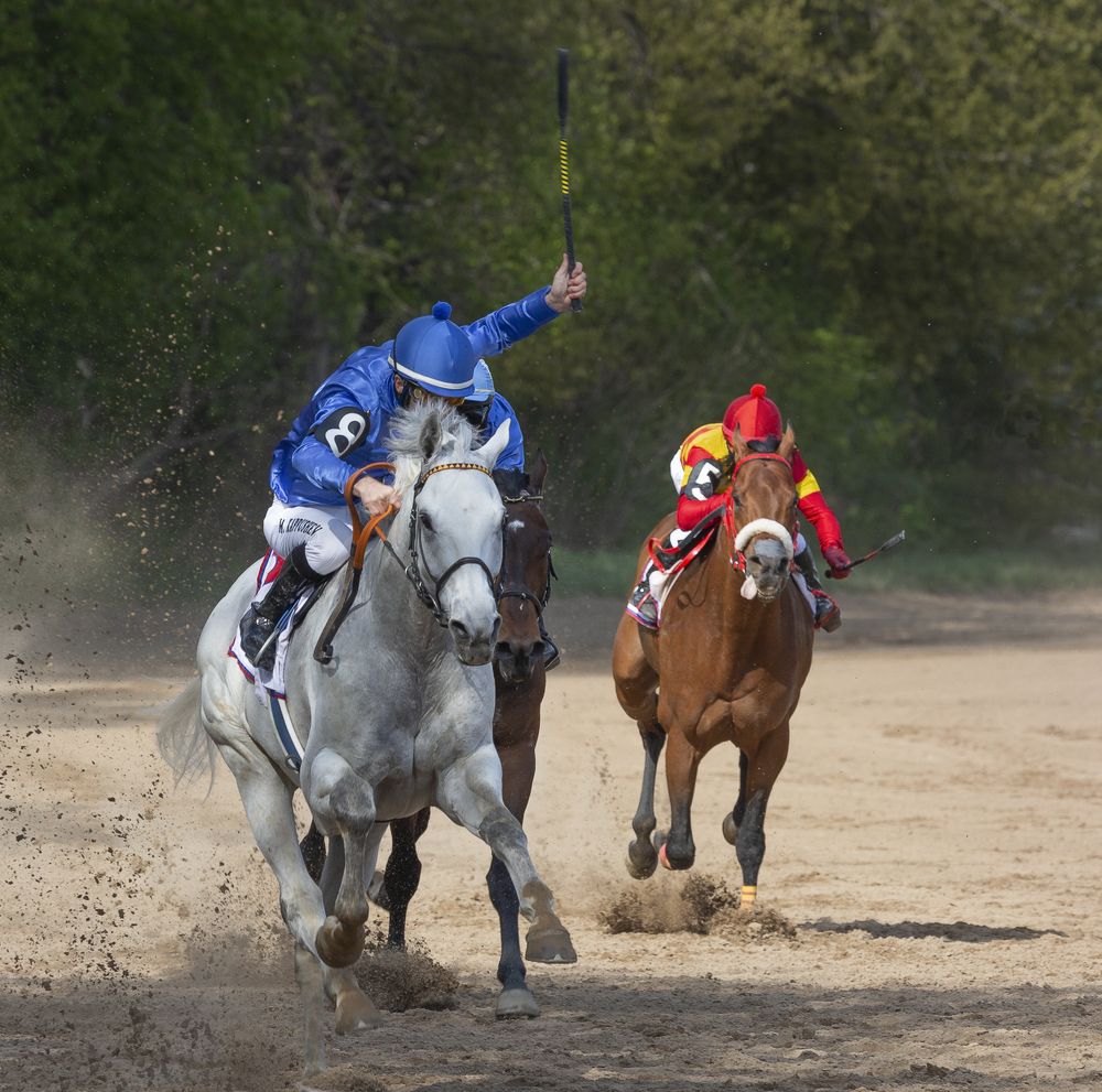 На финишной прямой