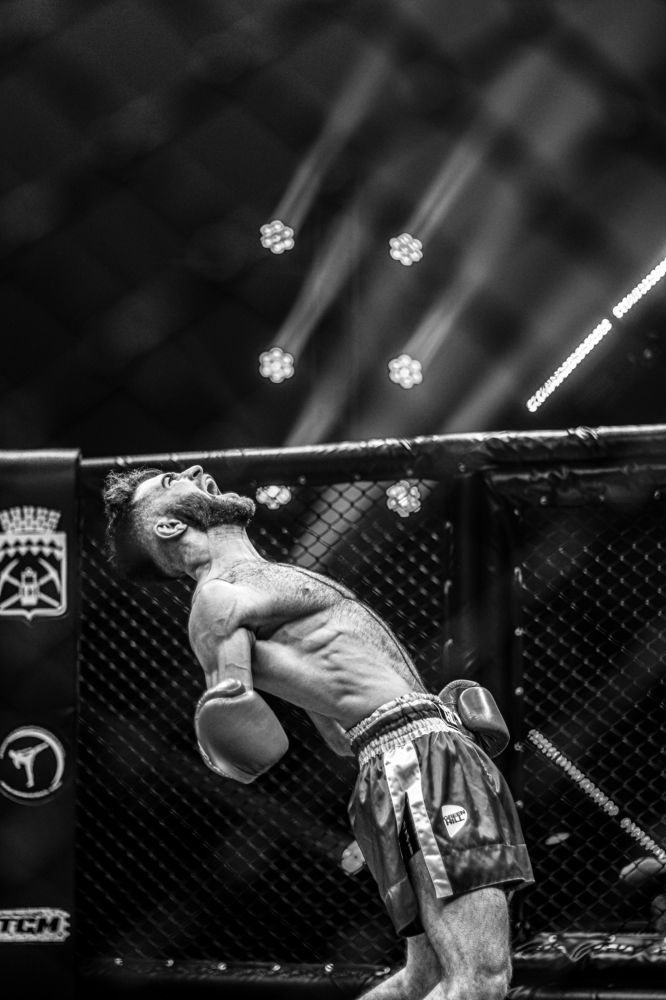 Гордыня ринга