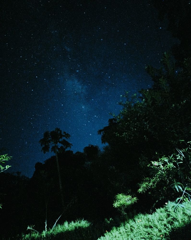 Photograph by Sudeshna Chanda