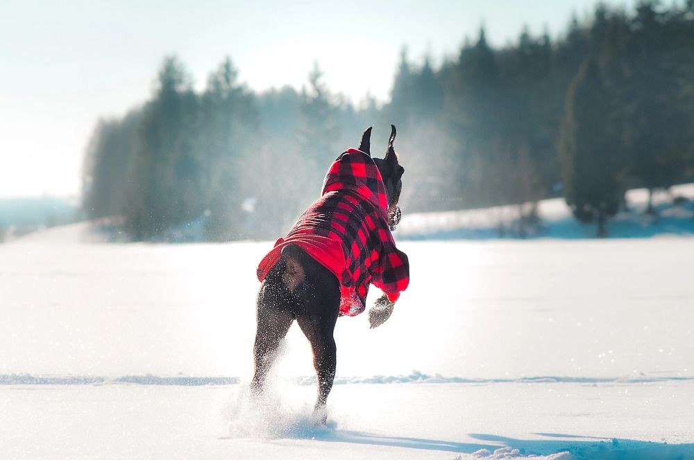 Вперед и выше!