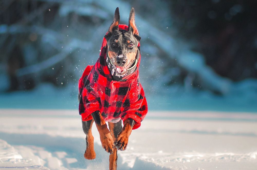 Вперед к своей цели!