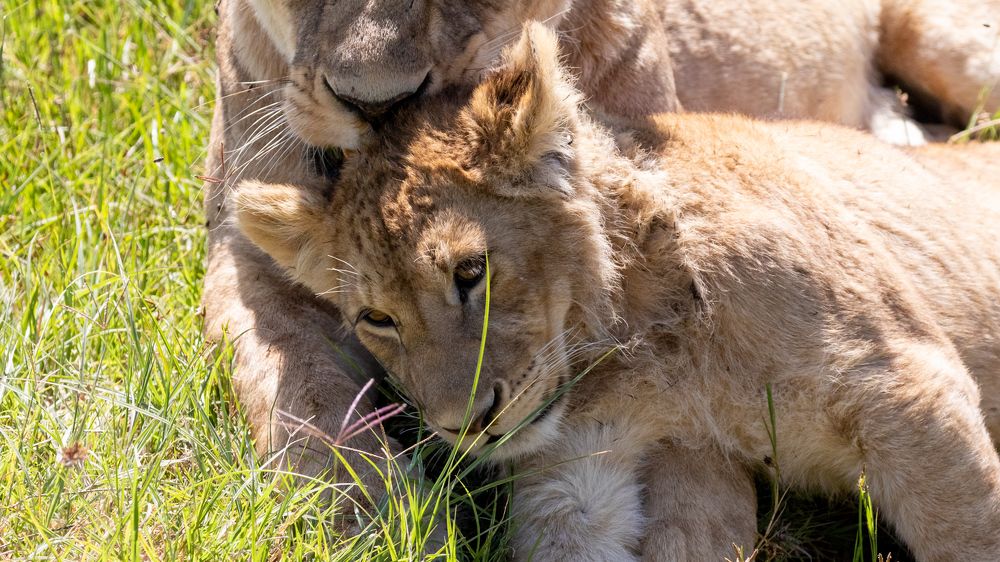 Photograph by Сергей Андрейчук