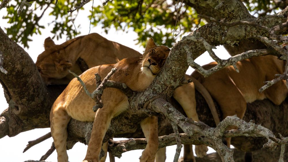 Photograph by Сергей Андрейчук