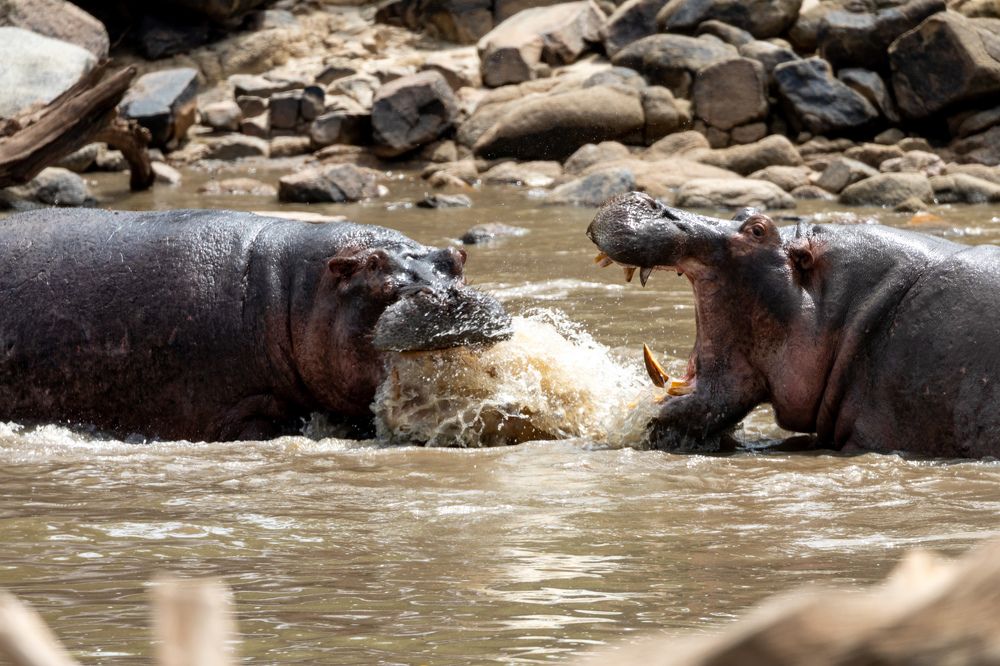 Photograph by Сергей Андрейчук