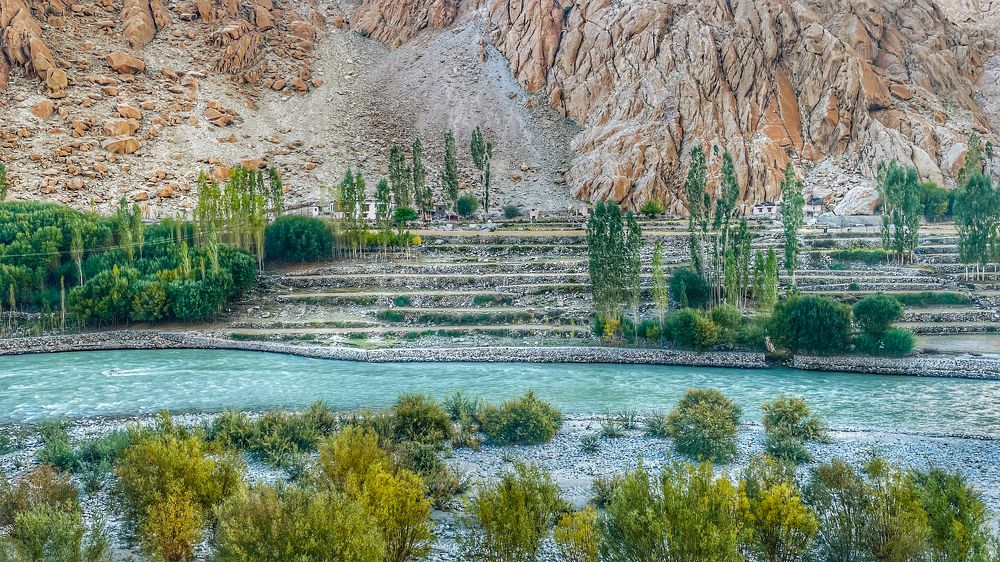 Фотография автора Mukesh Dagar