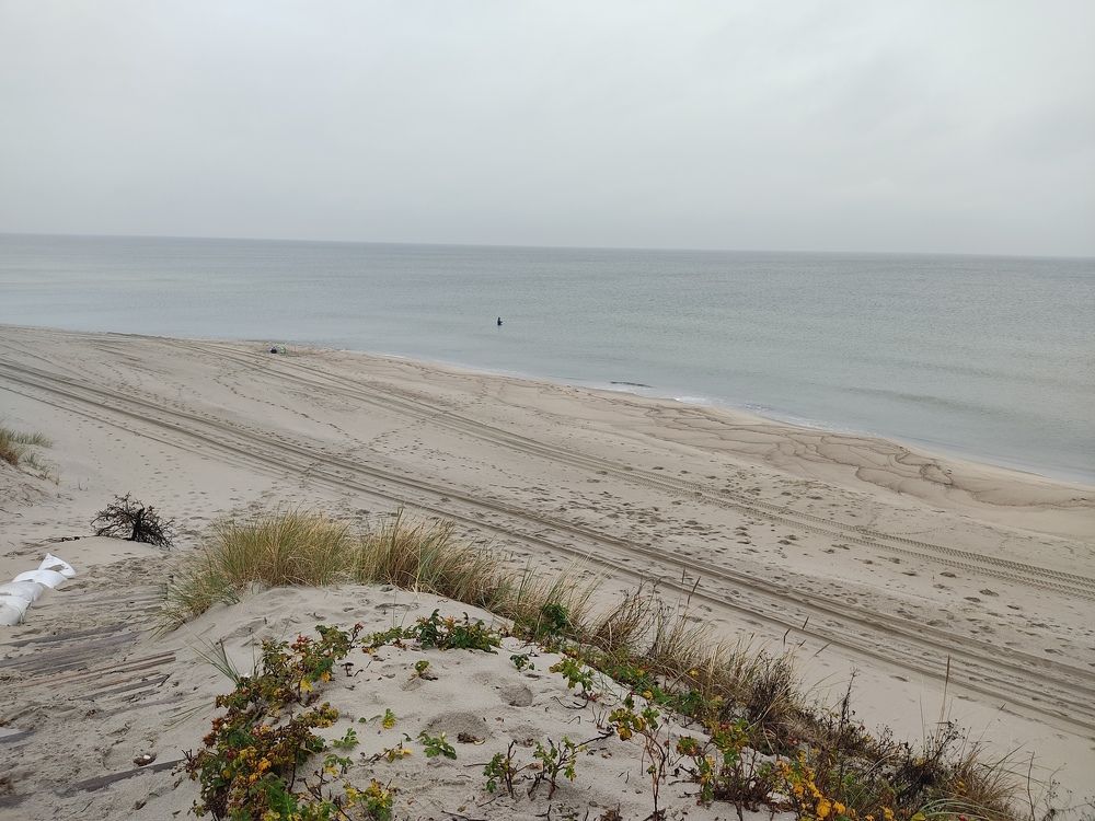 Photograph by Мария Самоловова