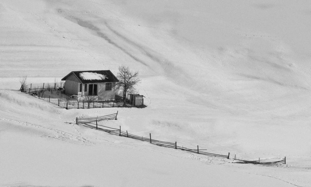 Photograph by Petya Lazarova