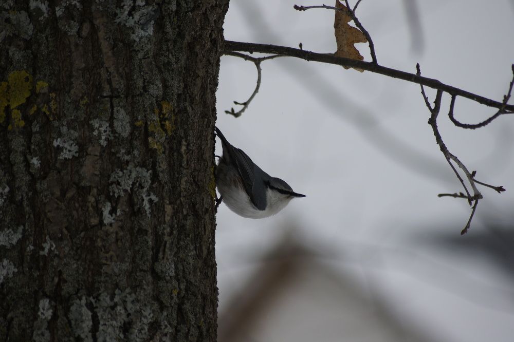 Photograph by Вадим Рудаков