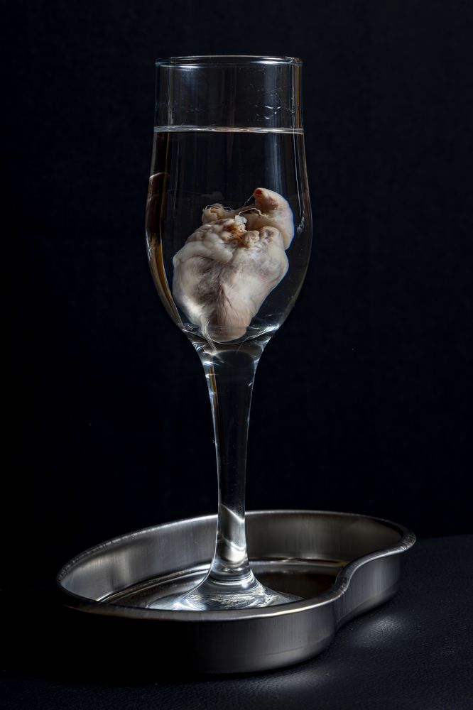 Photograph by Андрей Лопатин