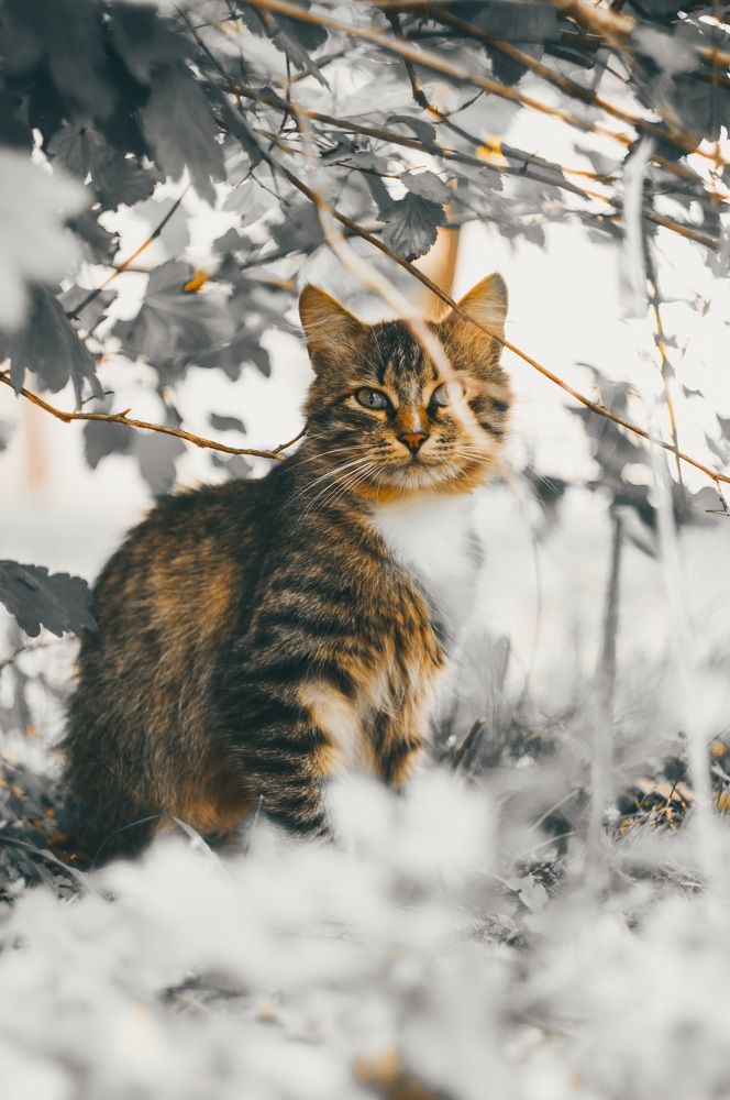 Photograph by Максим Шумченя