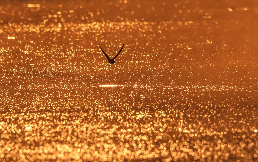 Photograph by Андрей Селиванов