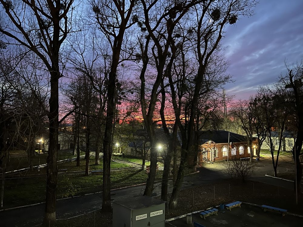 Photograph by Лариса