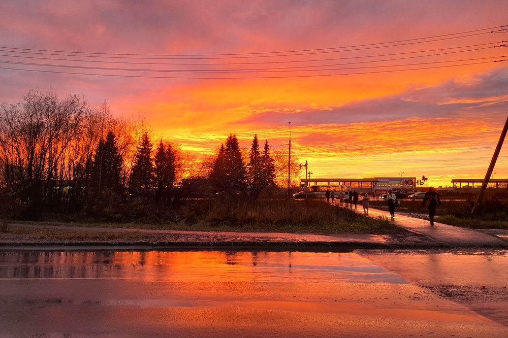 Photograph by Ольга Березовская