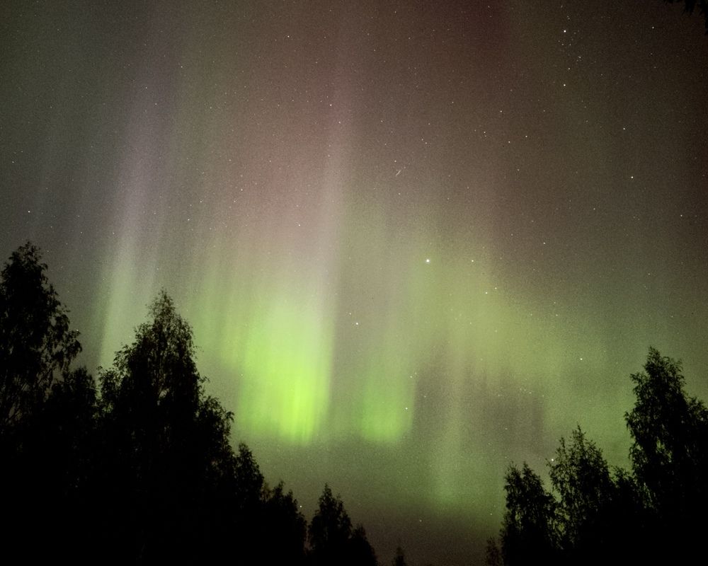 Фотография автора Anna Tikka