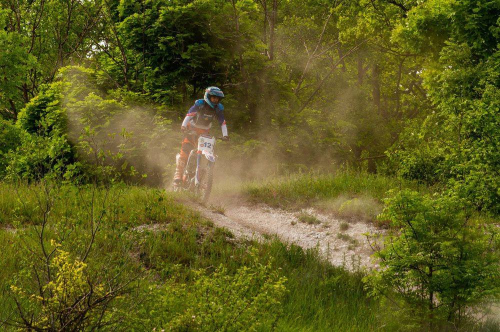 Фотография автора Алексей Тимофеев