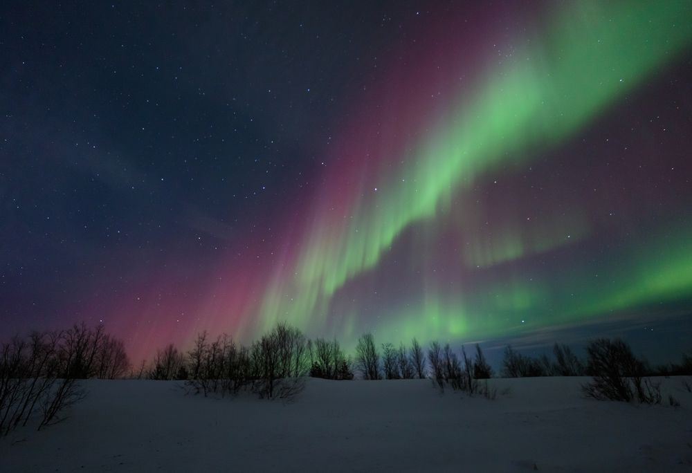 Photograph by Мария Казакова