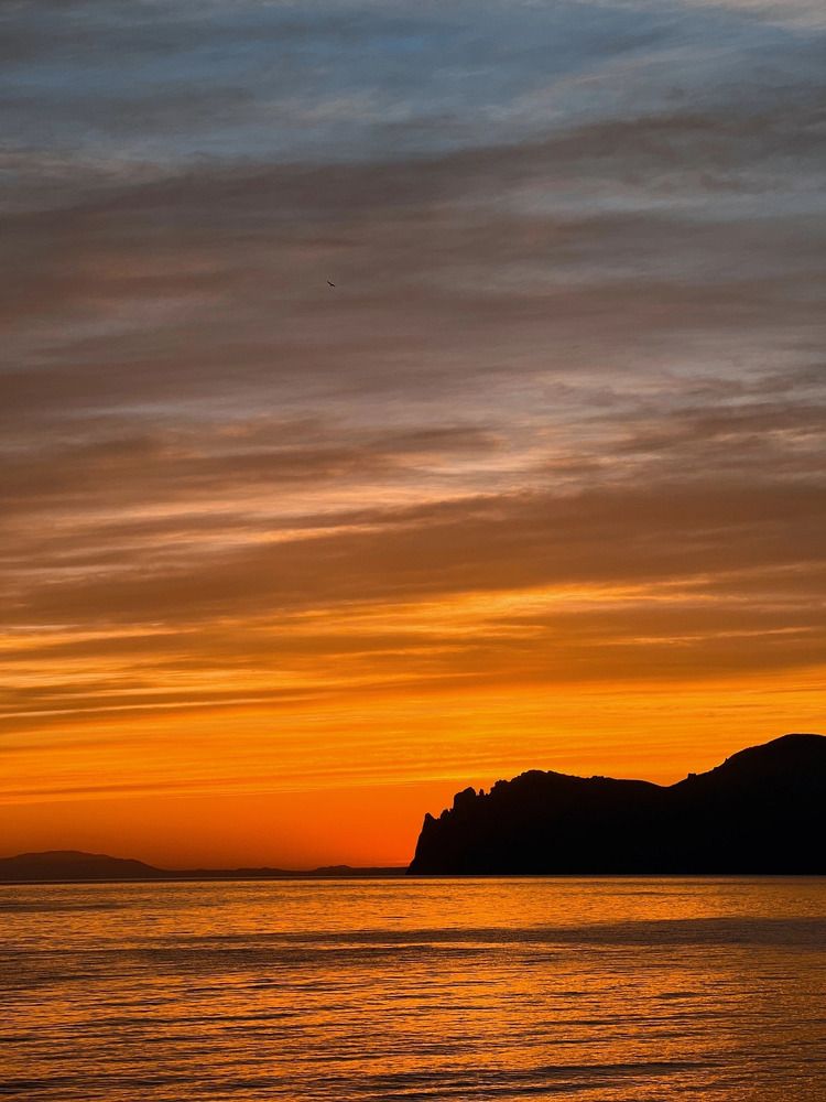 Photograph by Анастасия Долбунова