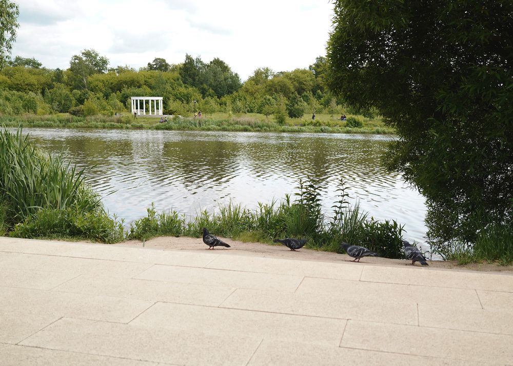 Photograph by Oxana Petlina