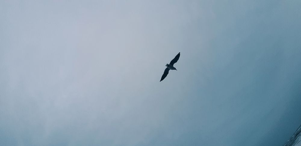 Photograph by Kwagga Satyn