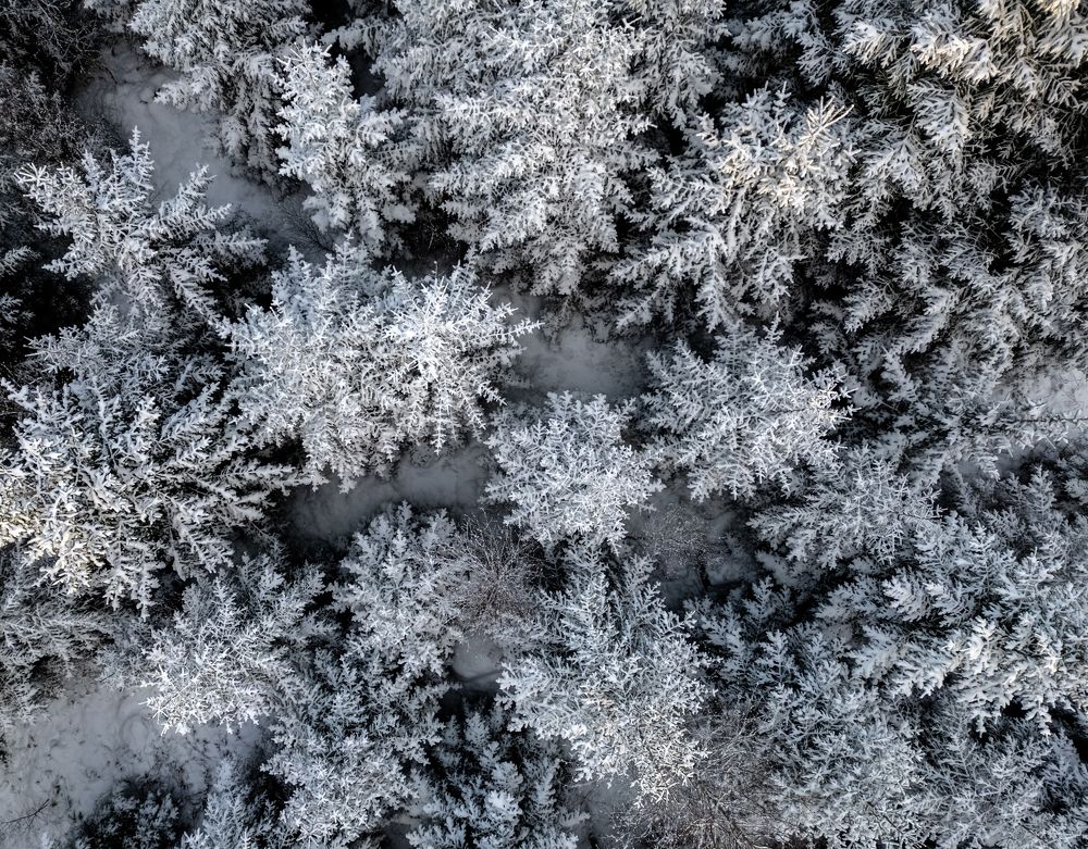 Photograph by Linda Persson