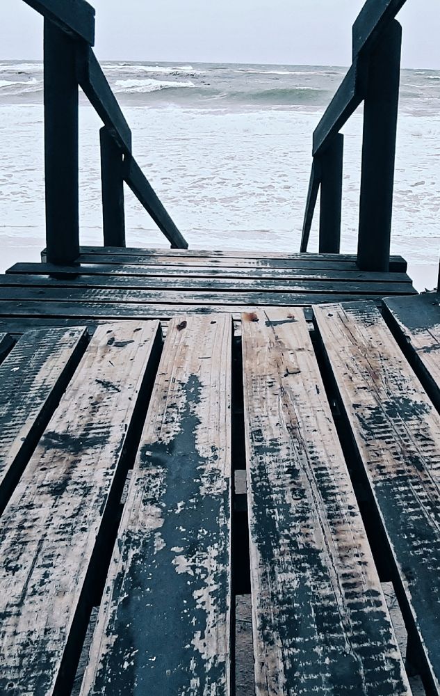 Photograph by Kwagga Satyn