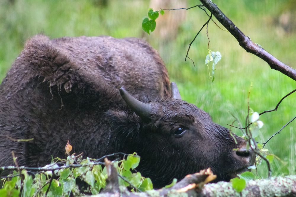 Photograph by Aleksandra