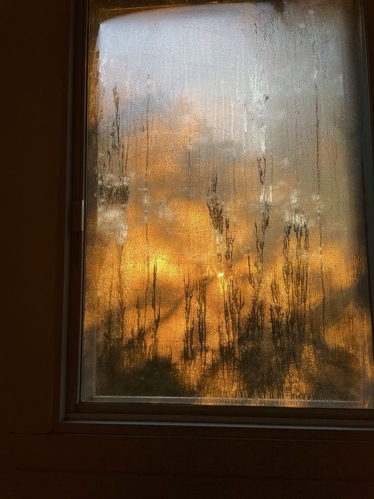 Window in winter