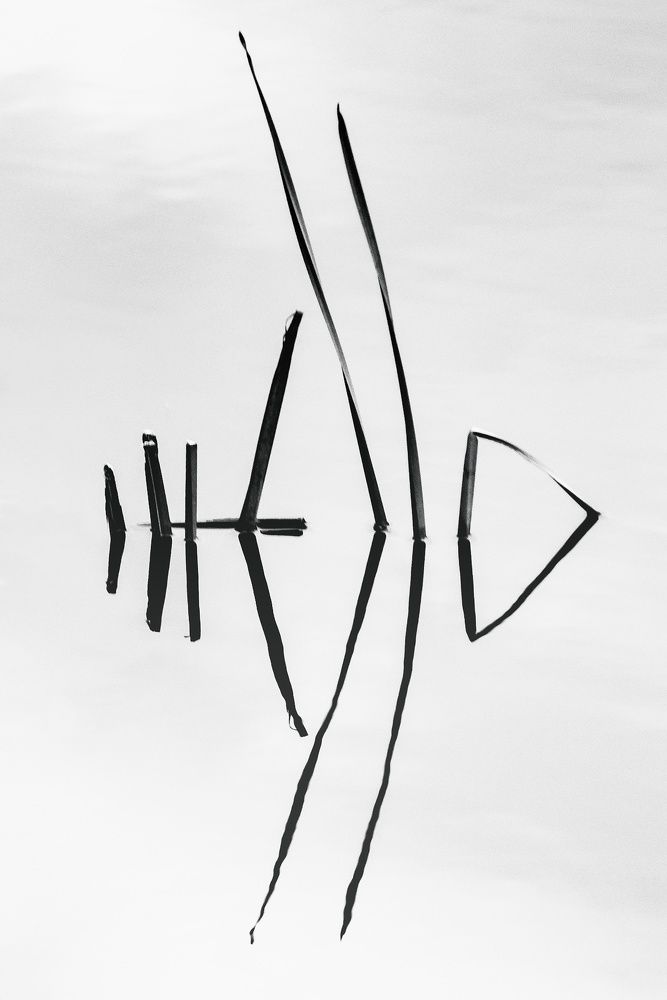 Photograph by Ирина Чиркина