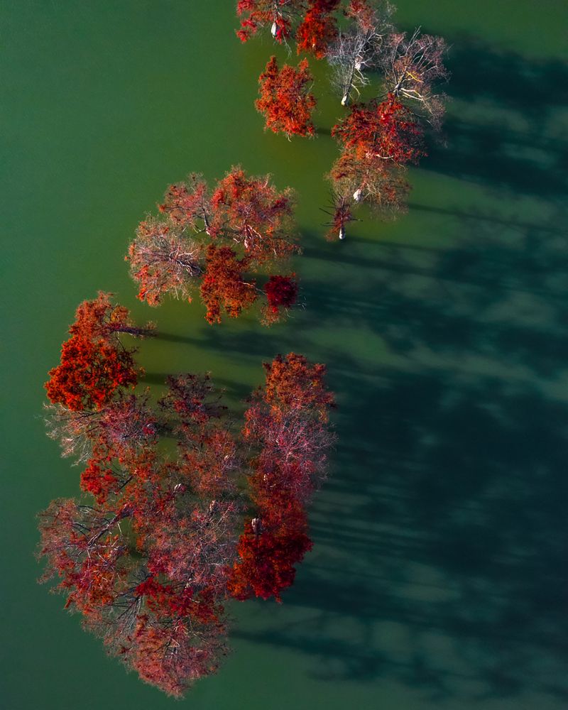 Photograph by Алексей Яковлев