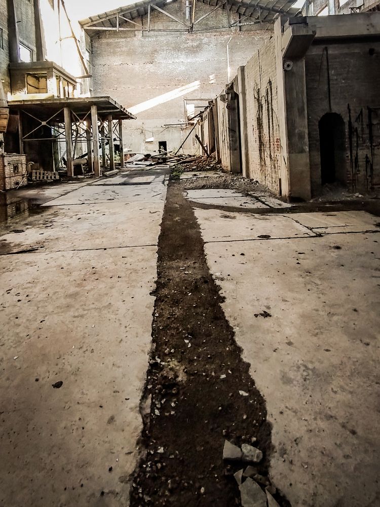 Photograph by Maria Julieta ZURZOLO