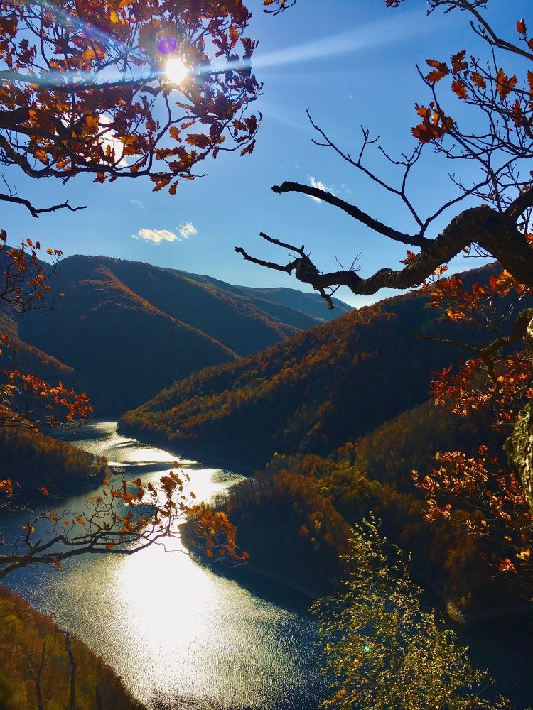 Photograph by Catalina Sirbu