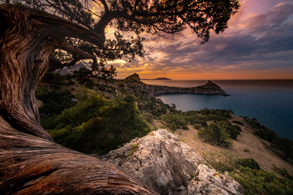 Photograph by Александр Разумов